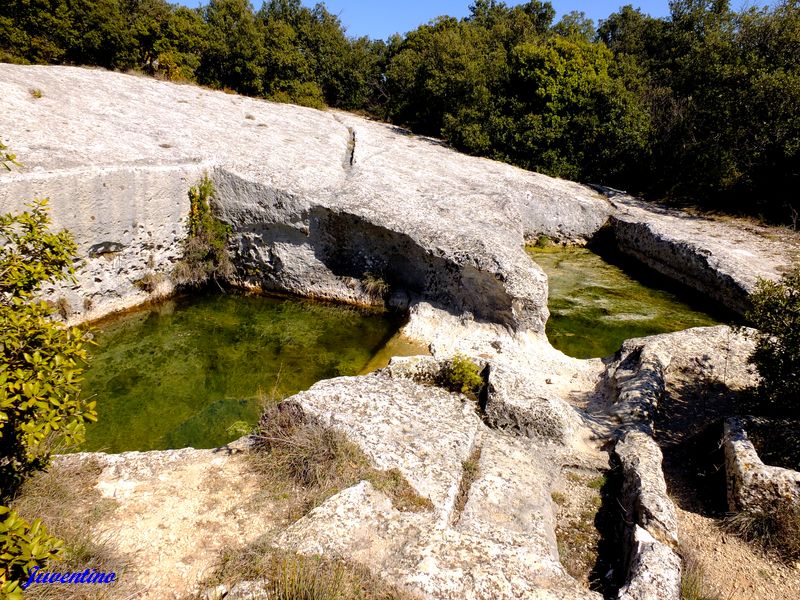 Aiguiers d'Auribeau (St-Saturnin-lès-Apt)