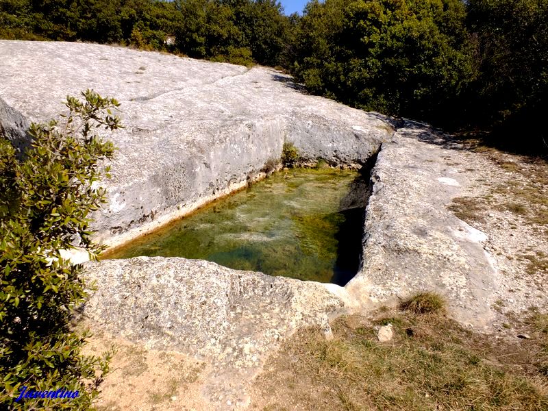 Aiguiers d'Auribeau (St-Saturnin-lès-Apt)