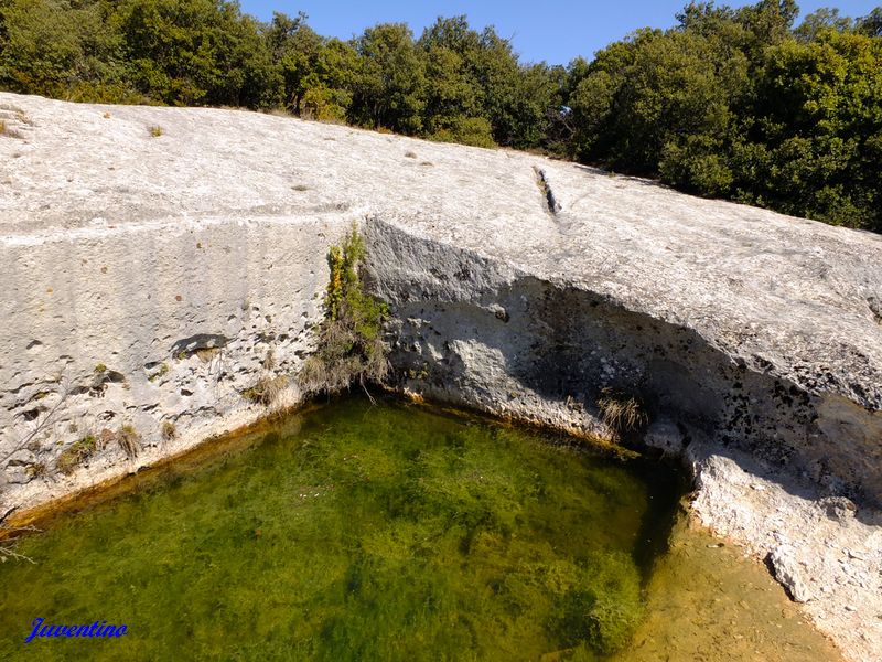 Aiguiers d'Auribeau (St-Saturnin-lès-Apt)