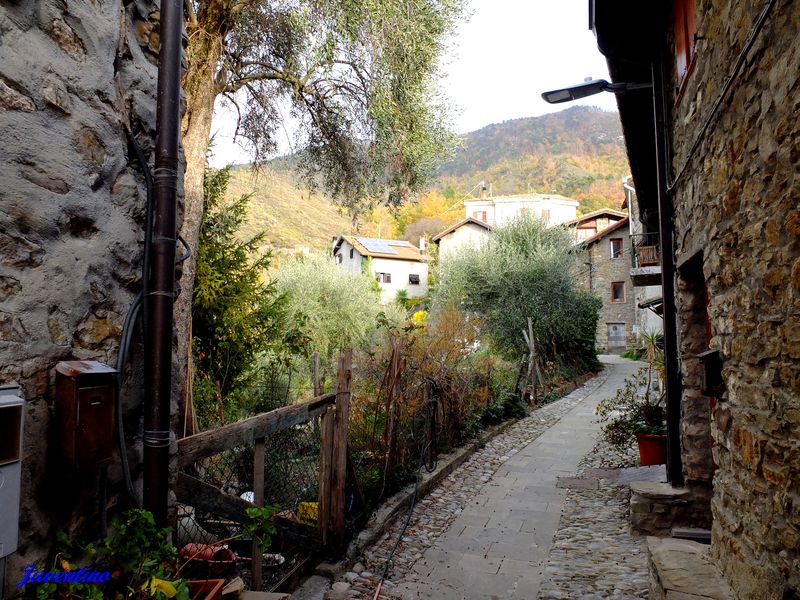 Berzi (commune de Baiardo) (Imperia, Liguria)