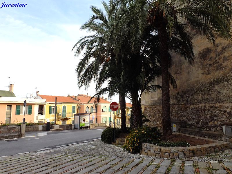 Bordighera alta