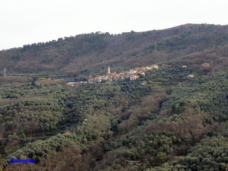 Boscomare (Valle del San Lorenzo, Imperia)