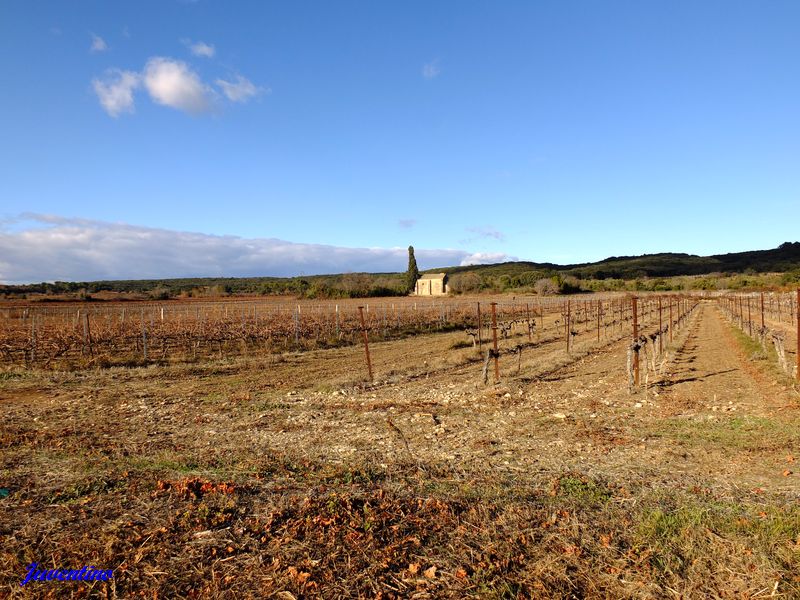 Castillon-du-Gard