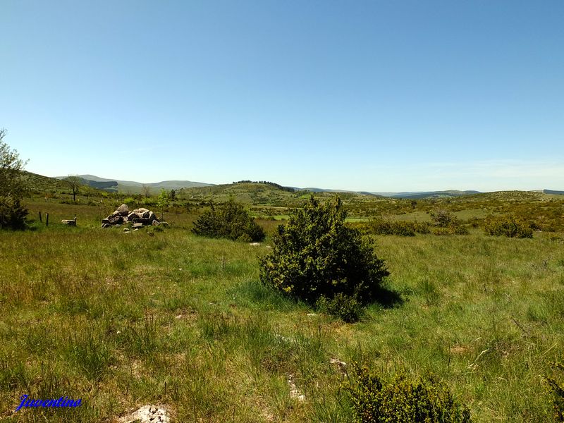 Causse Méjan