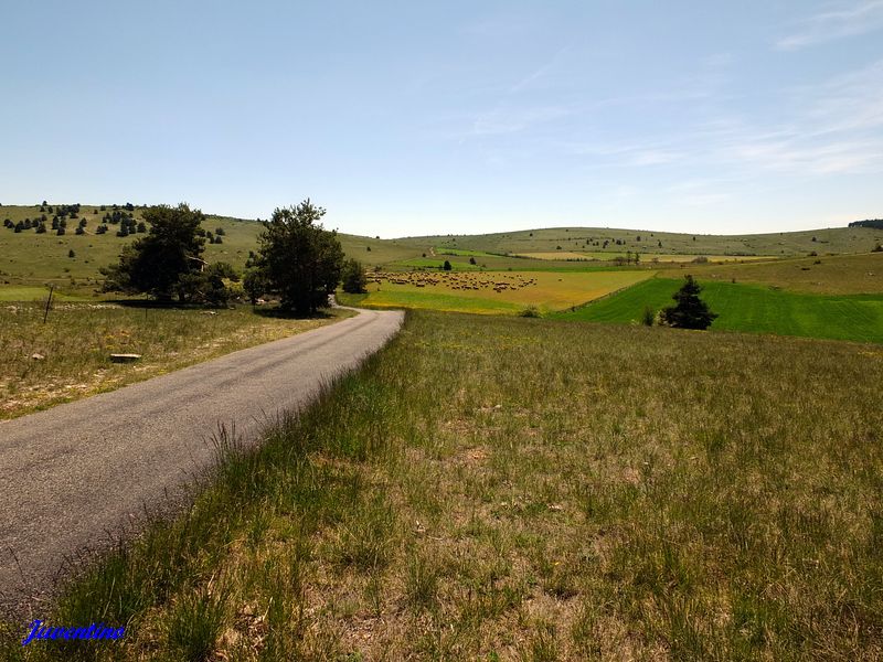 Causse Méjan