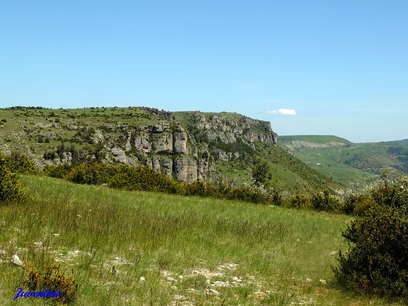 Causse Méjan