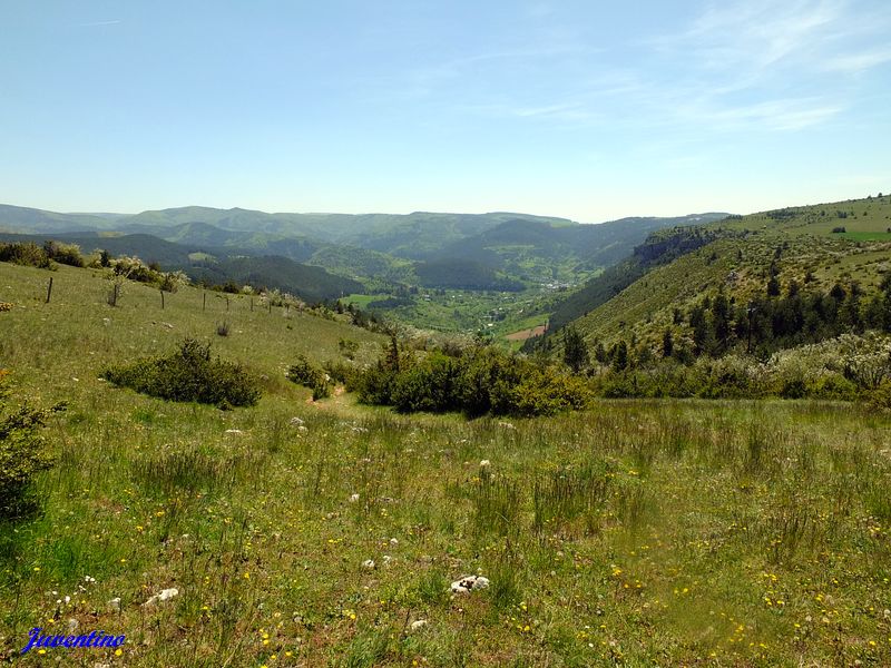 Causse Méjan