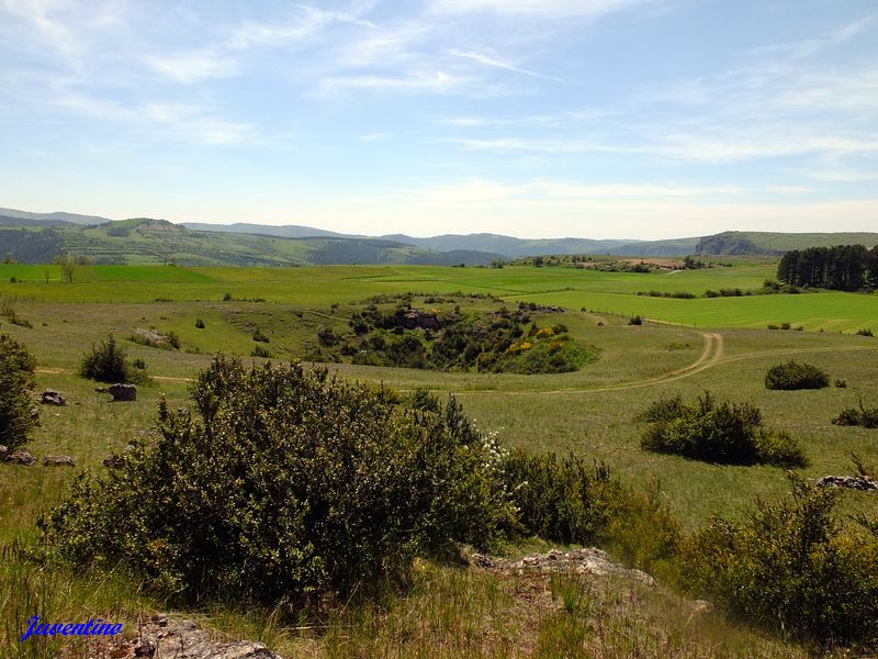 Causse Méjan