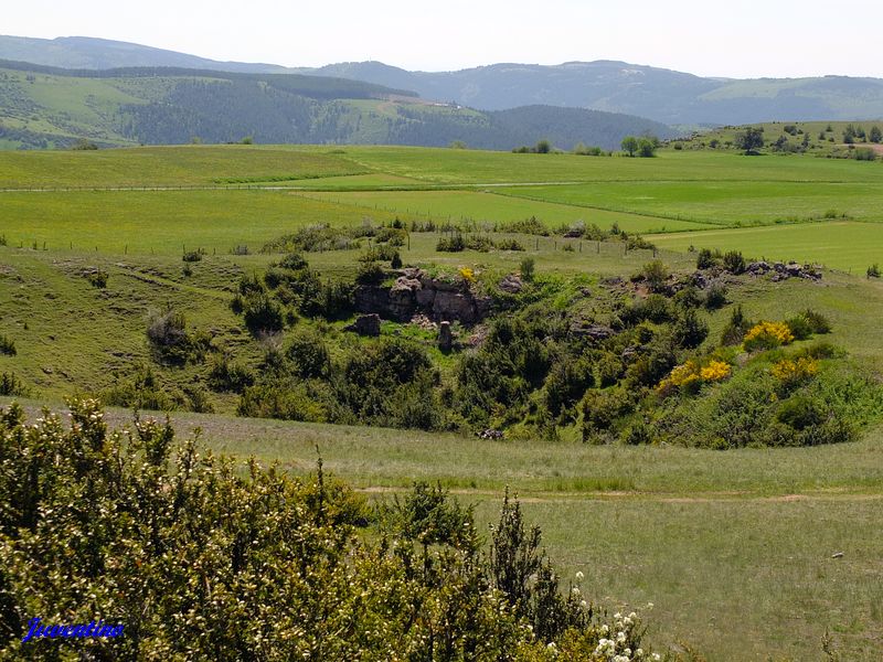 Causse Méjan