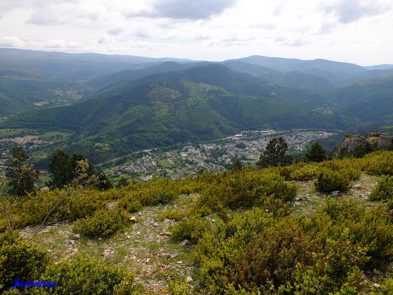Causse Méjan