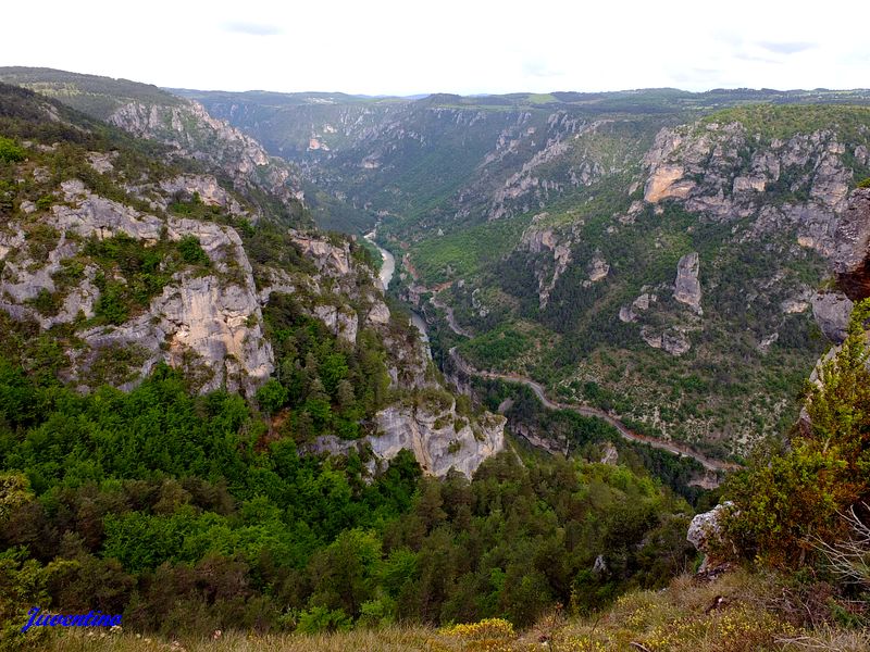 Causse Méjan