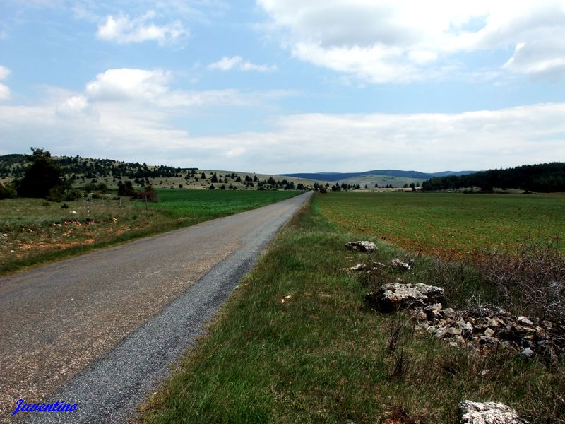 Causse Méjan
