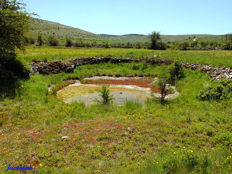 Causse Méjan