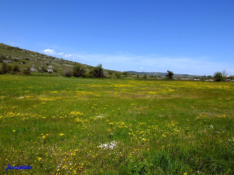 Causse Méjan