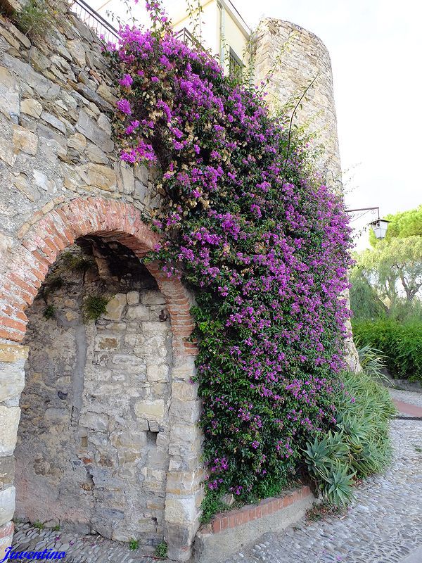 Cervo (Imperia, Liguria)