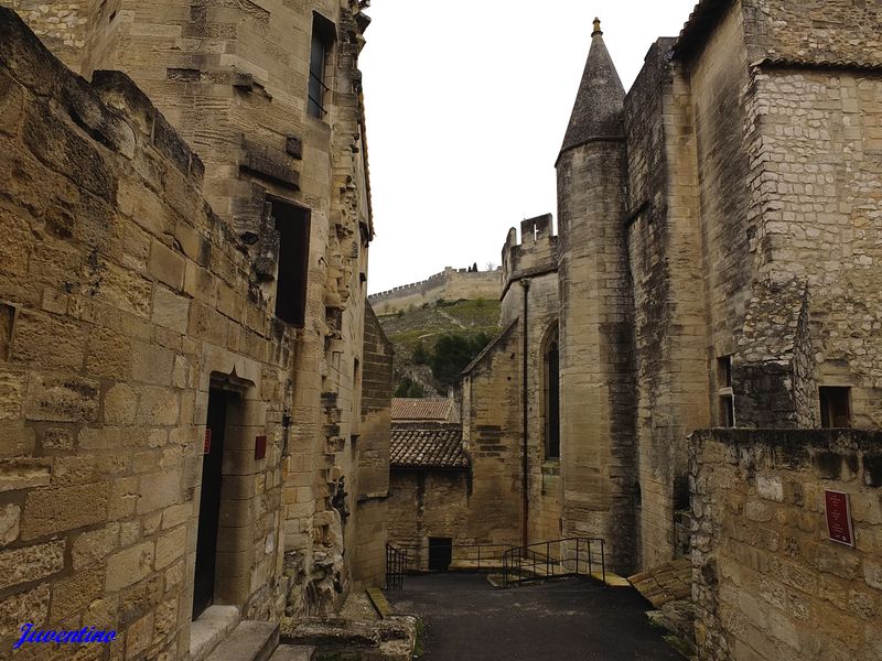 Chartreuse du Val de Bénédiction