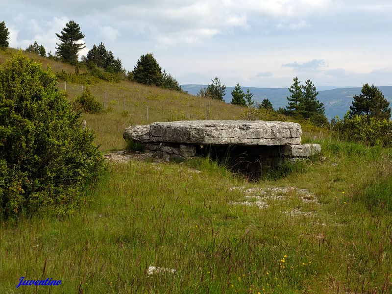 Dolmen de Pierre Plate sur le Causse Méjean