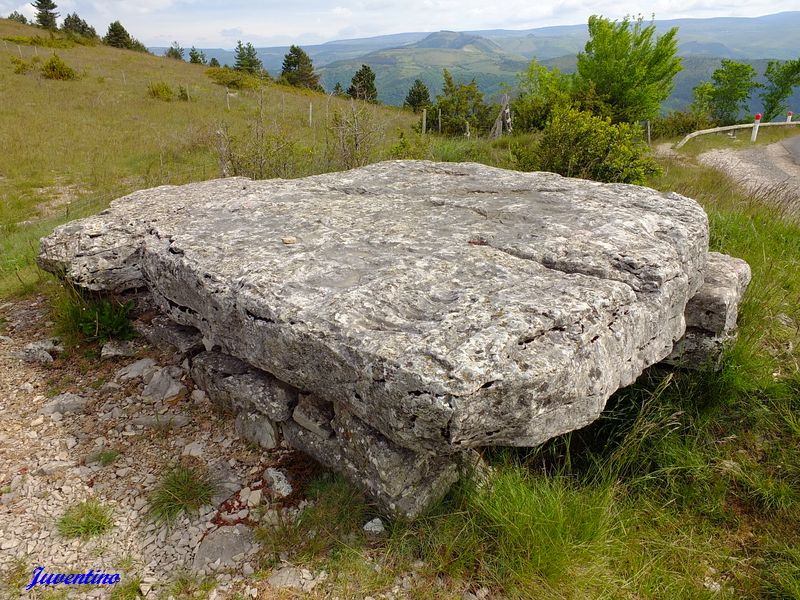 Dolmen de Pierre Plate sur le Causse Méjean