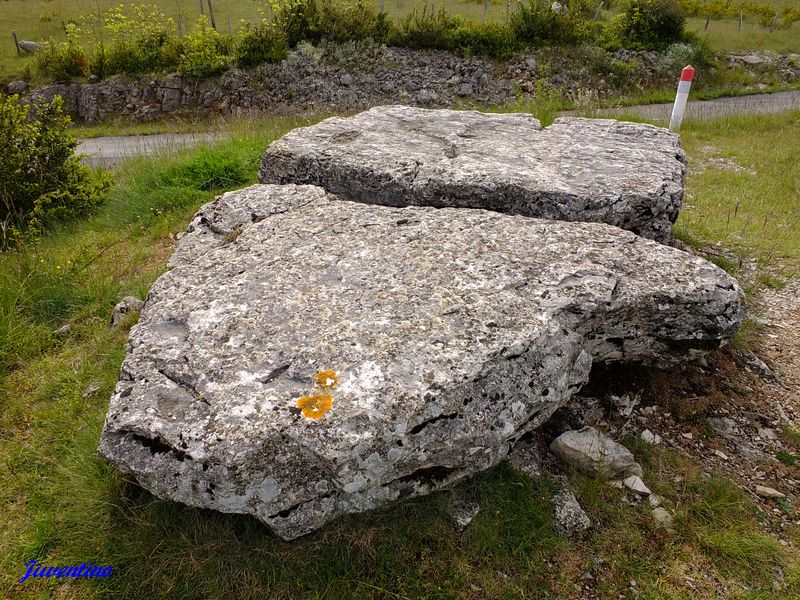 Dolmen de Pierre Plate sur le Causse Méjean