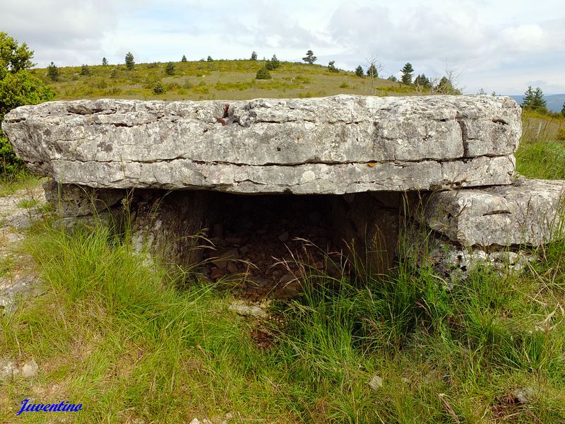 Dolmen de Pierre Plate sur le Causse Méjean