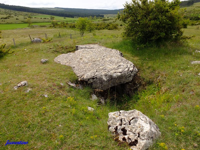 Dolmen de Valbelle sur le Causse Méjean