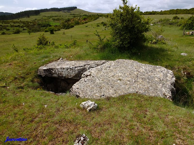 Dolmen de Valbelle sur le Causse Méjean