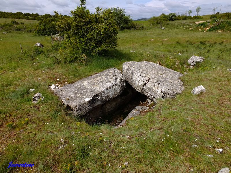 Dolmen de Valbelle sur le Causse Méjean