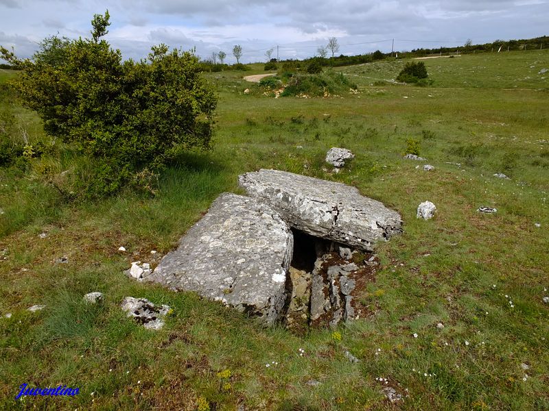 Dolmen de Valbelle sur le Causse Méjean