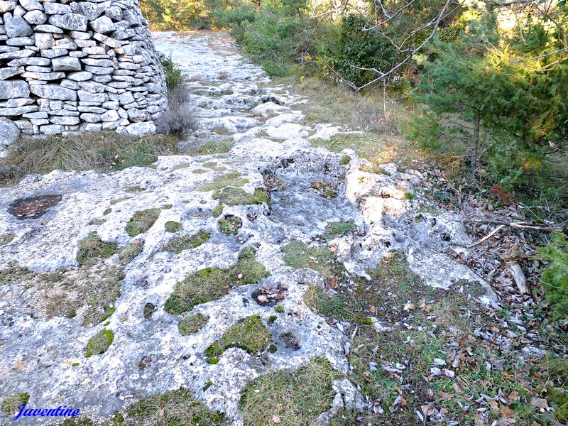 Grand aiguier de Gayéoux (St-Saturnin-lès-Apt)