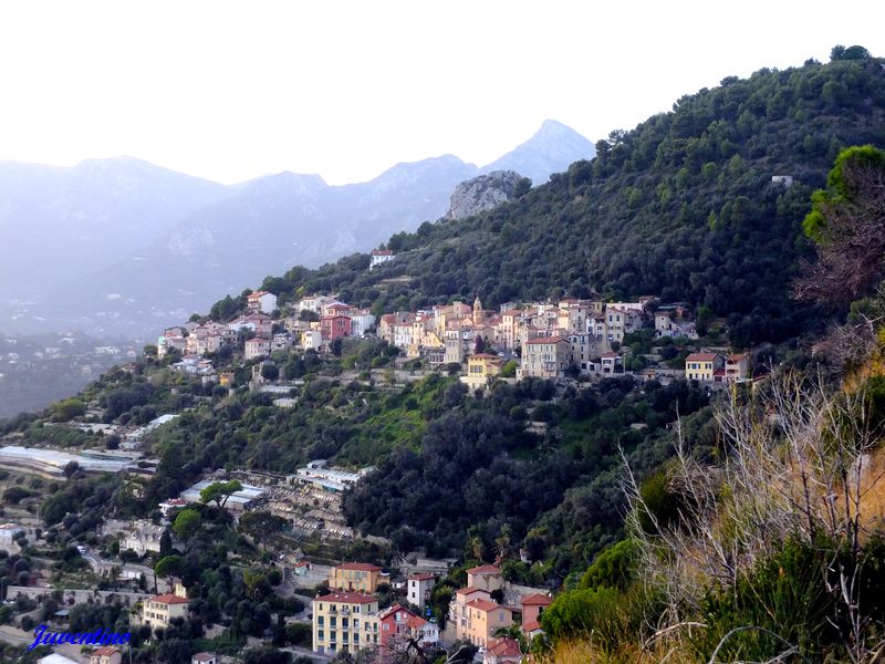 Grimaldi (Ventimiglia) (Imperia, Liguria)