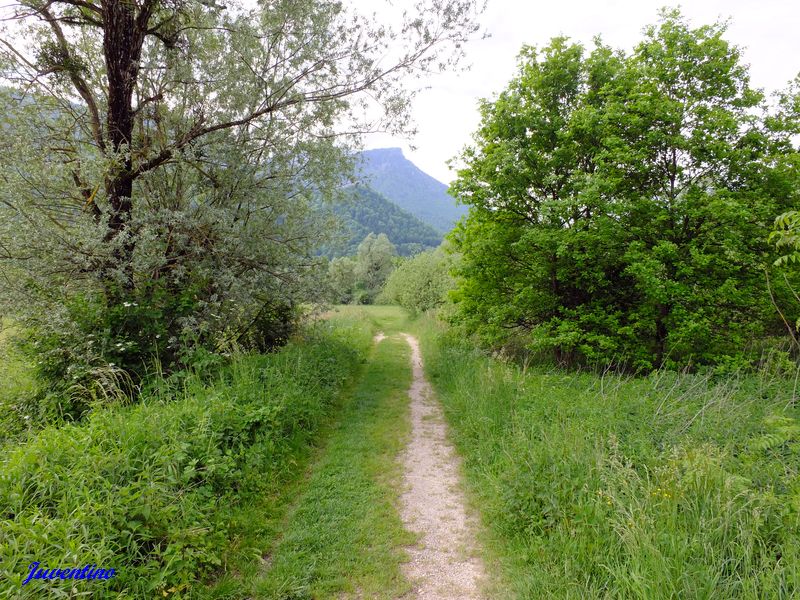 Tourbières de l'Herretang