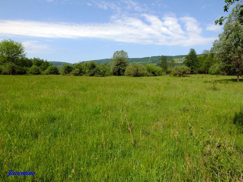 Tourbières de l'Herretang