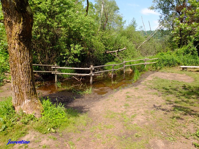 Tourbières de l'Herretang