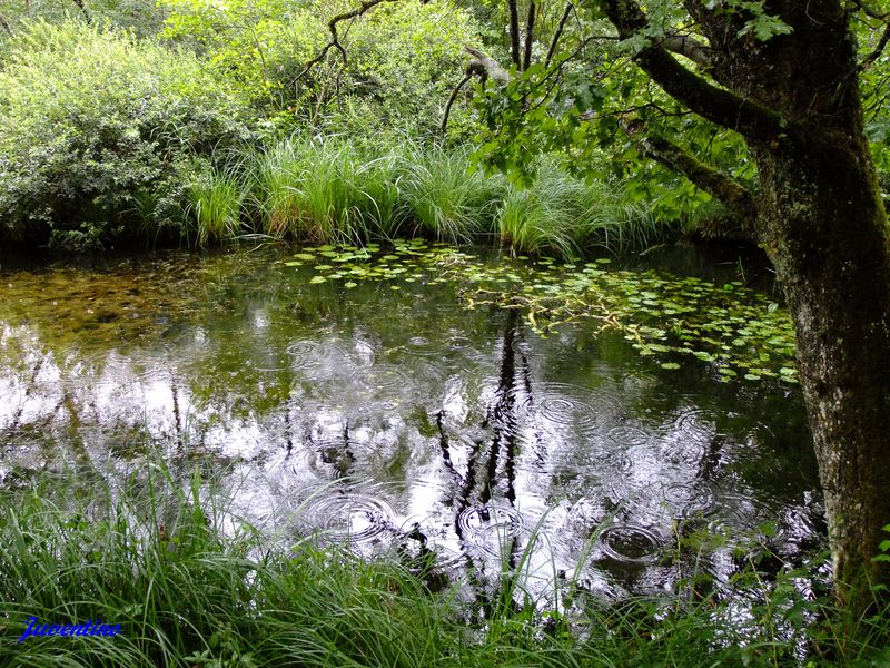 Marais de Lavours