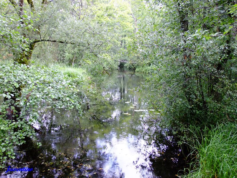 Marais de Lavours