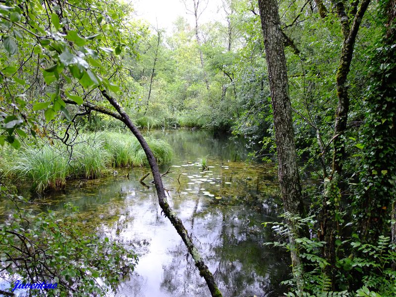 Marais de Lavours