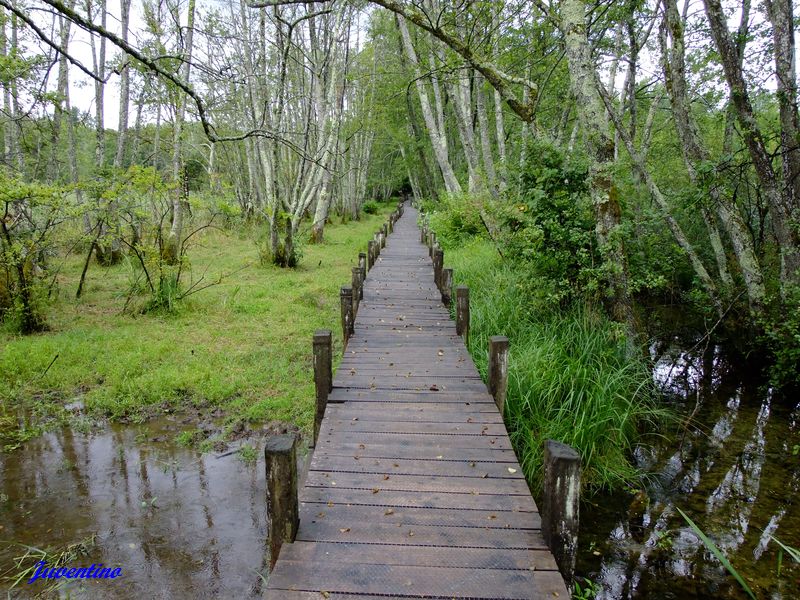 Marais de Lavours