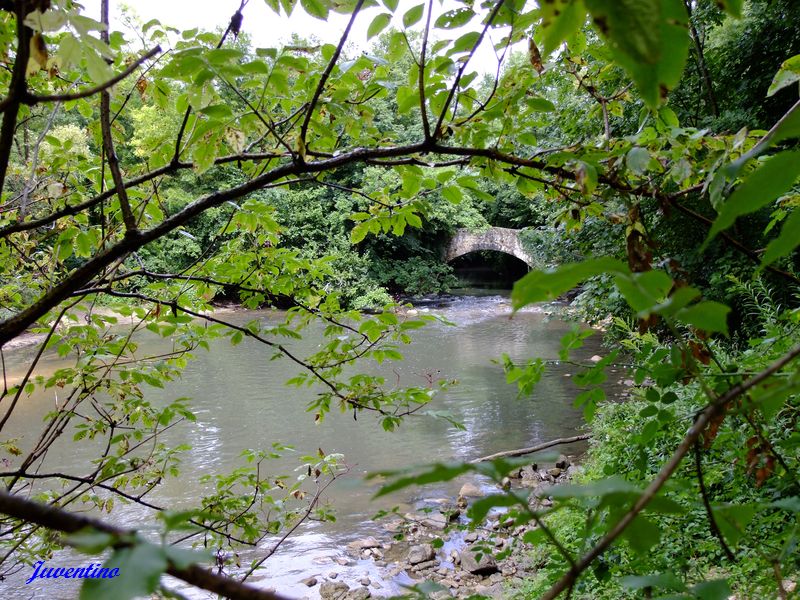 Marais de Lavours