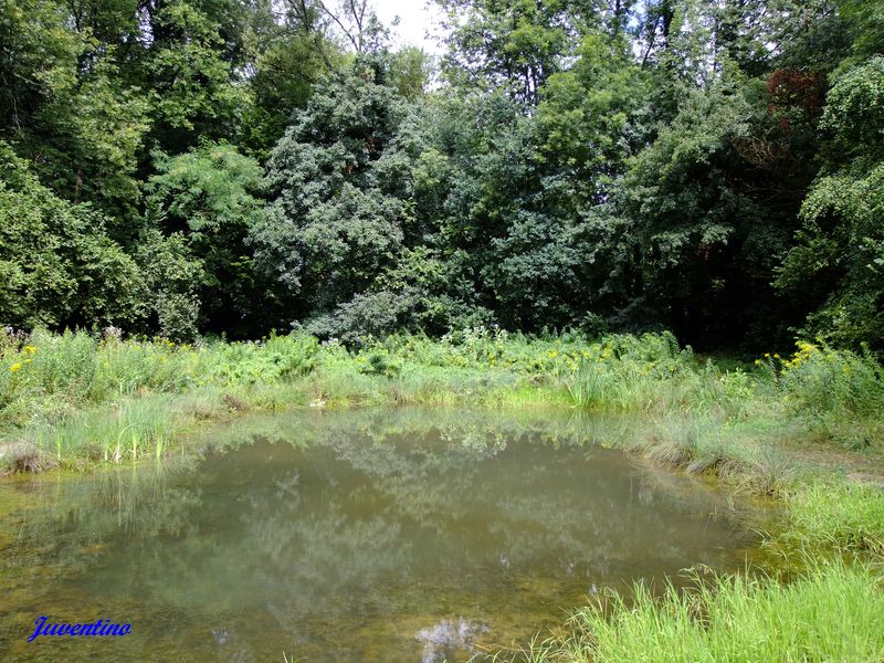 Marais de Lavours