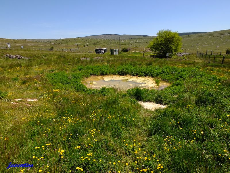 Le Villaret sur le Causse Méjan