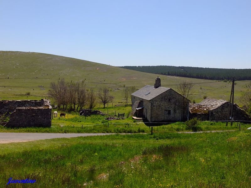 Le Villaret sur le Causse Méjan