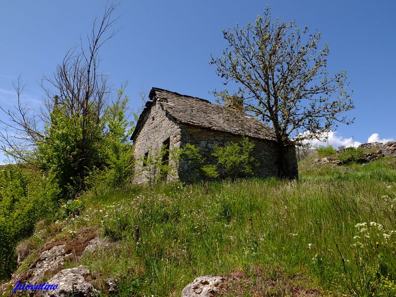 Le Villaret sur le Causse Méjan