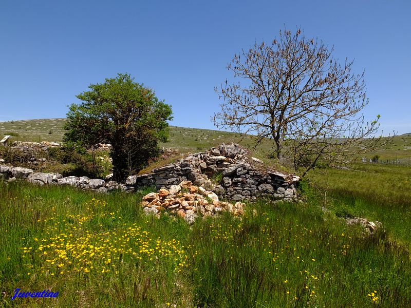 Le Villaret sur le Causse Méjan