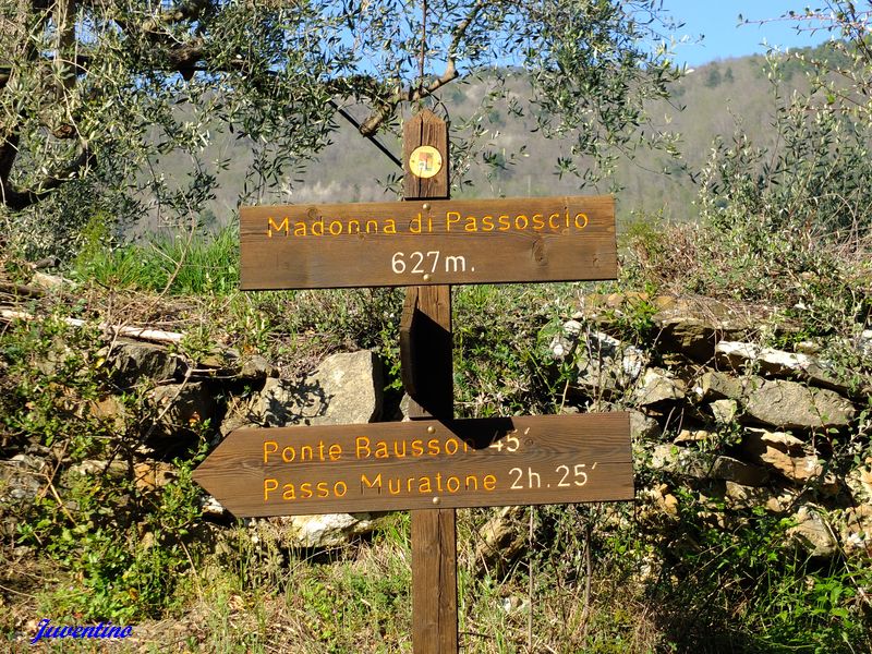 Madonna di Passoscio, Pigna