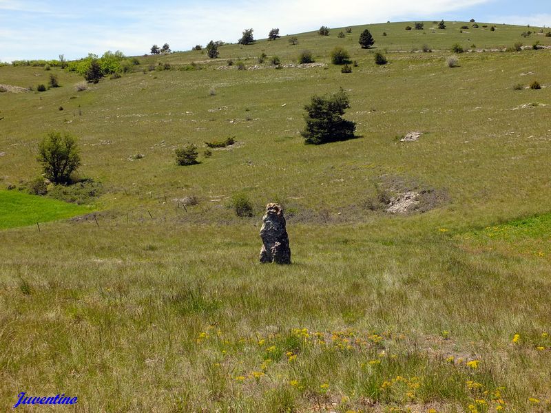 Menhir de Costeguison sur le Causse Méjean