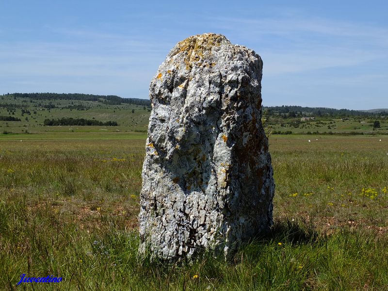 Menhir de la Plaine de Chanet sur le Causse Méjean