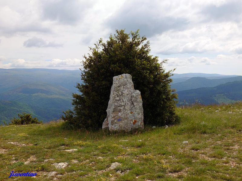 Menhir du Relais sur le Causse Méjean