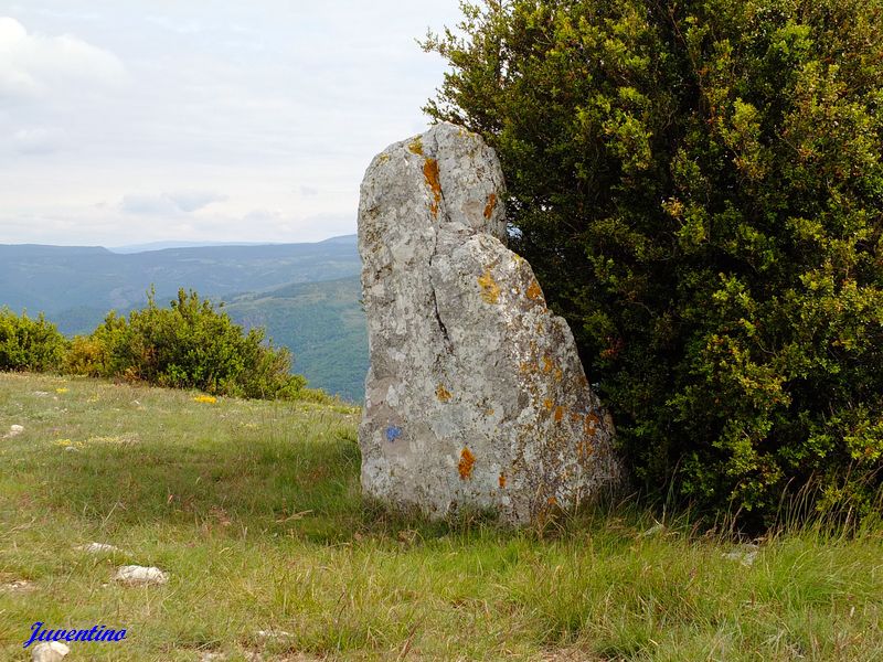 Menhir du Relais sur le Causse Méjean