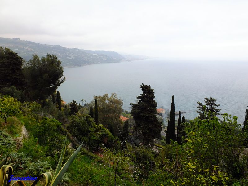 La Mortola (Ventimiglia) (Imperia, Liguria)