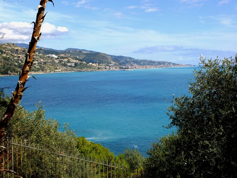 La Mortola (Ventimiglia) (Imperia, Liguria)